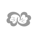 赵国伟